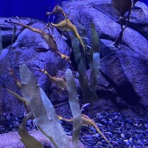 Meet your Posher, Kenny